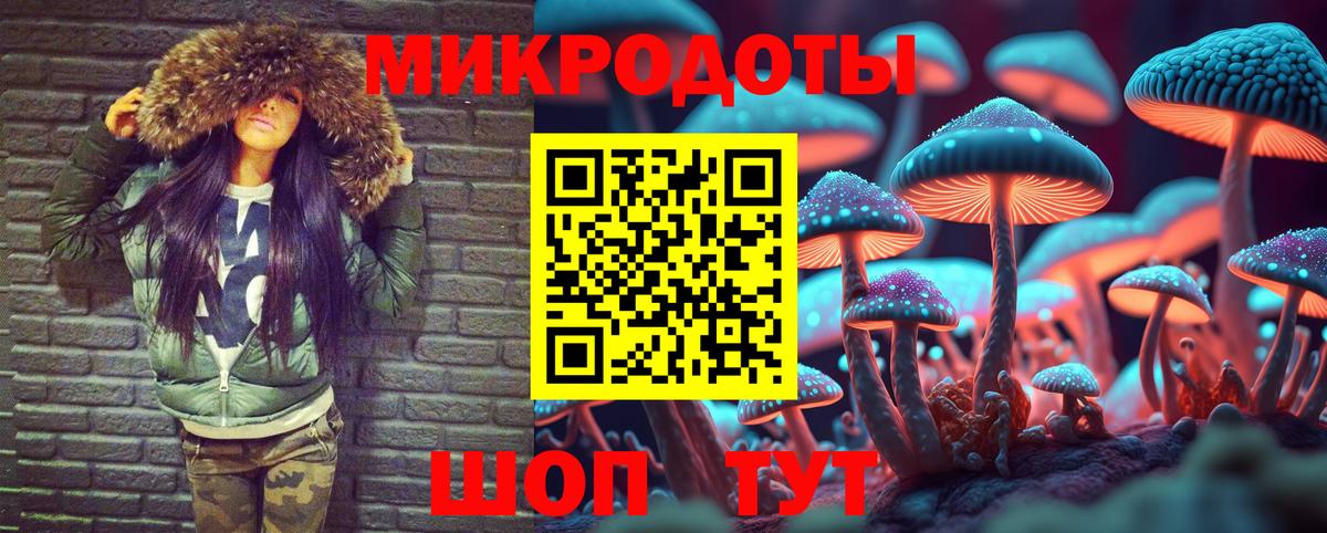 Псилоцибиновые грибы мухоморы Волгодонск