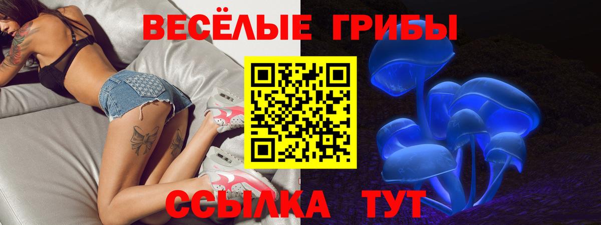 Псилоцибиновые грибы Cubensis  Псилоцибиновые грибы ЛСД  Вход с VPN  Волгодонск 